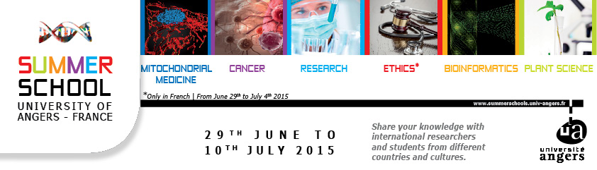 summer schools angers