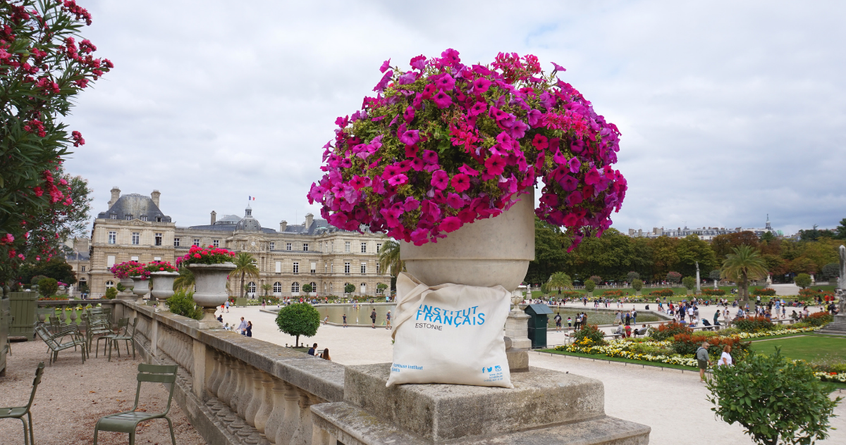 уроки французского языка