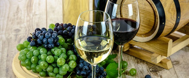Vin rouge et vin blanc en France - apprendre les bases scientifiques de la culture de la vigne et de la vinification